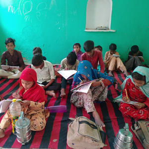 Project Shree Jan Jeevan Kalyan Sansthan (SJJKS)